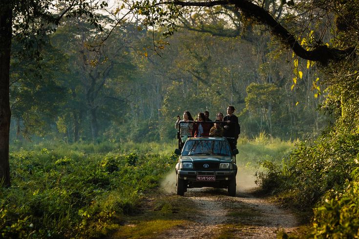 Wildlife habitat in Chitwan National Park